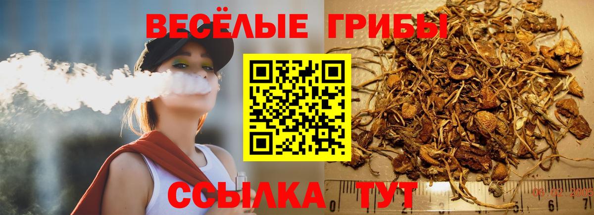 Владимир  Галлюциногенные грибы ЛСД  где продают   Вход с VPN 